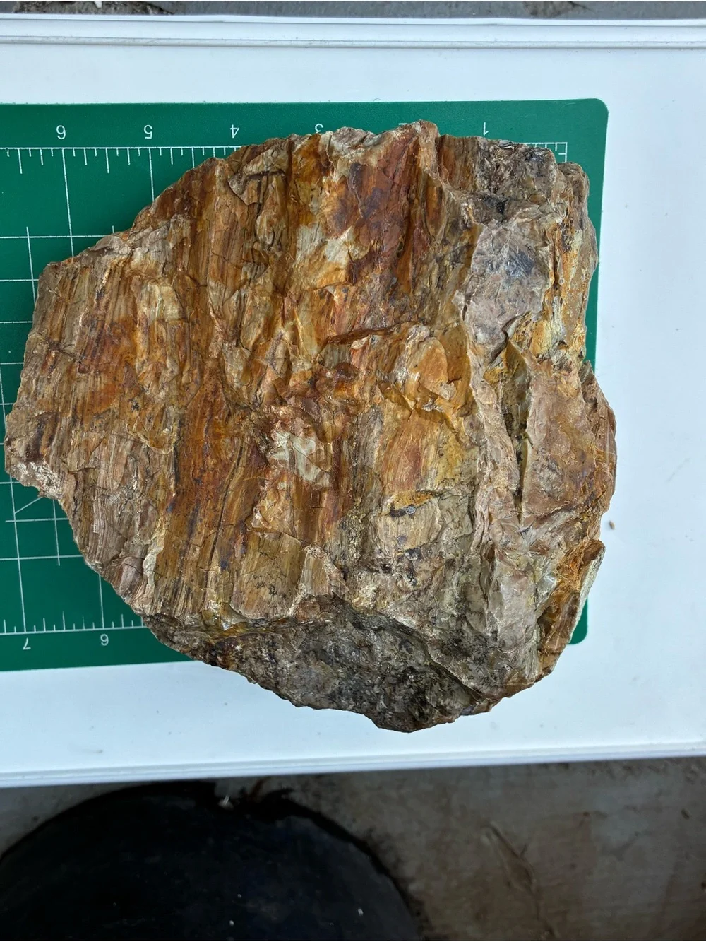Large Rare Petrified Wood Specimen Rough 6” x7”, Over 5 Lbs - Picture 15 of 16
